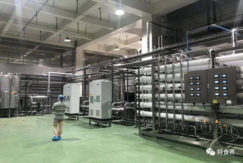 廣東實現(xiàn)保健食品生產(chǎn)企業(yè)體系檢查全覆蓋，數(shù)據(jù)處理服務(wù)助力精準(zhǔn)監(jiān)管